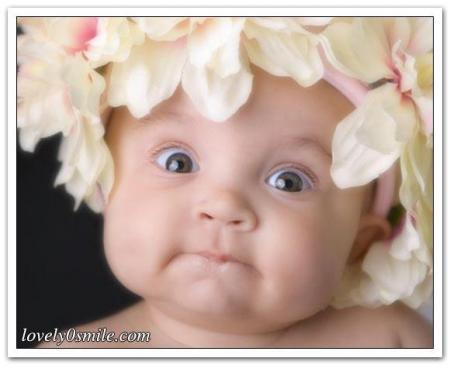 comment vous le trouve